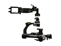 Black Arm